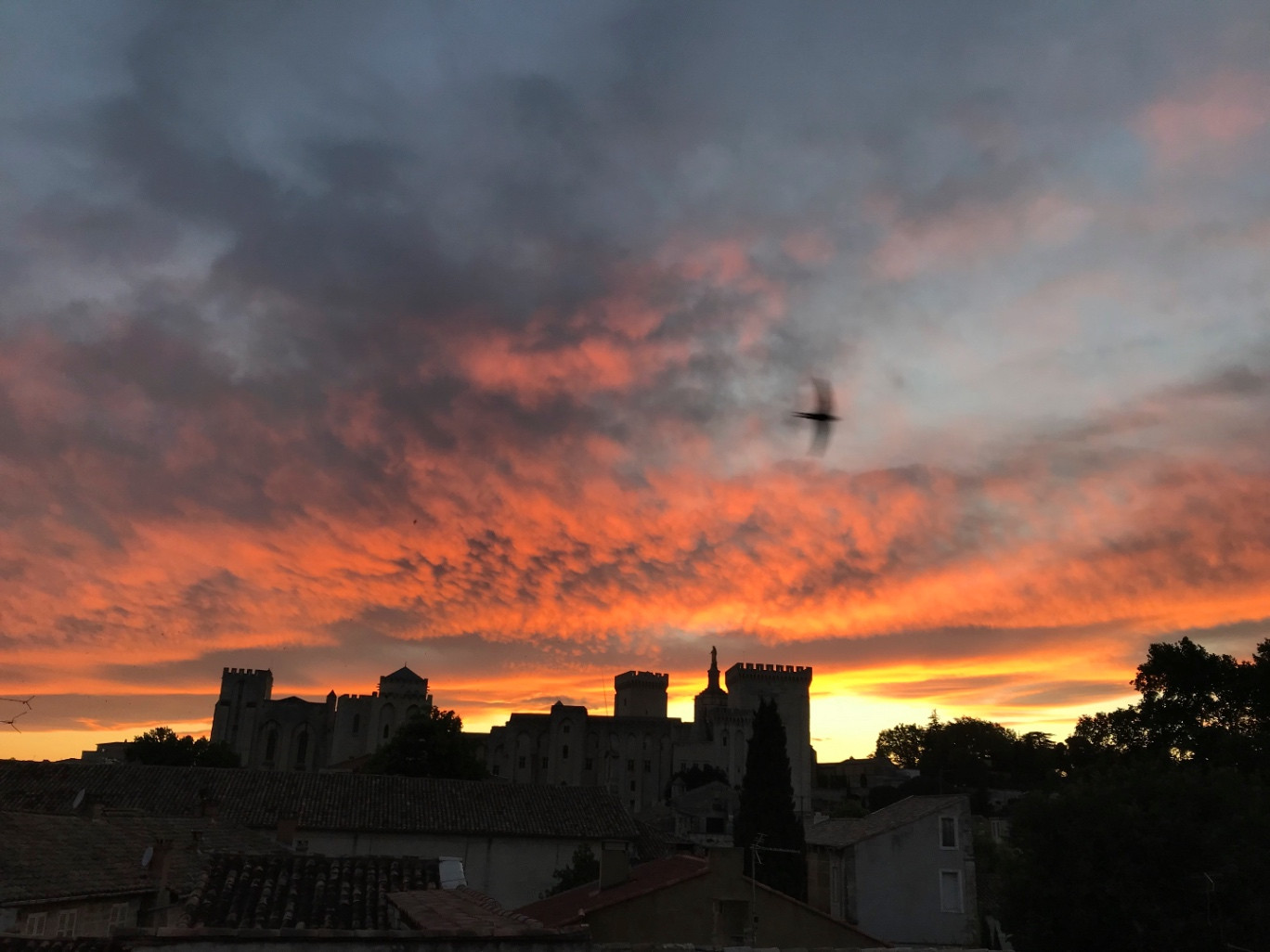 GreenGo Location Provence-Alpes-Côte d'Azur Évasion