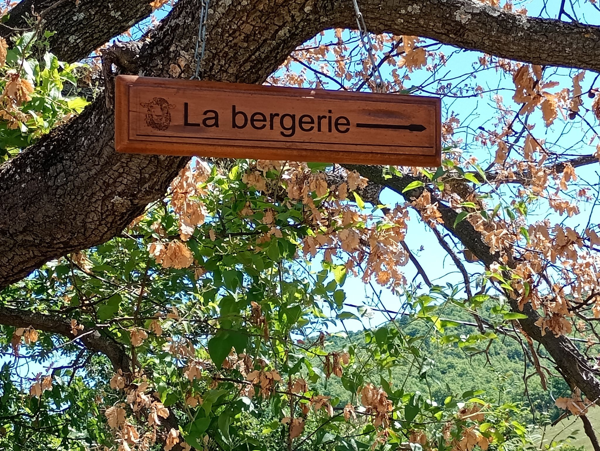 GreenGo location vacances écoresponsables