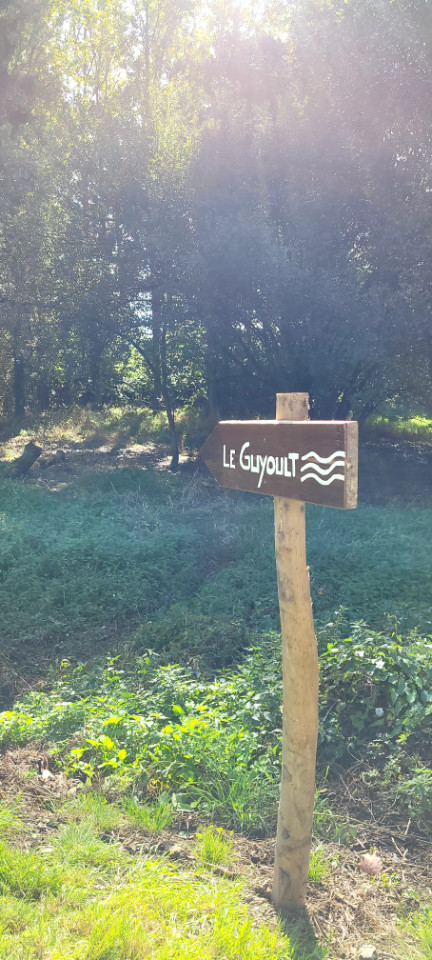  Ille-et-Vilaine En forêt