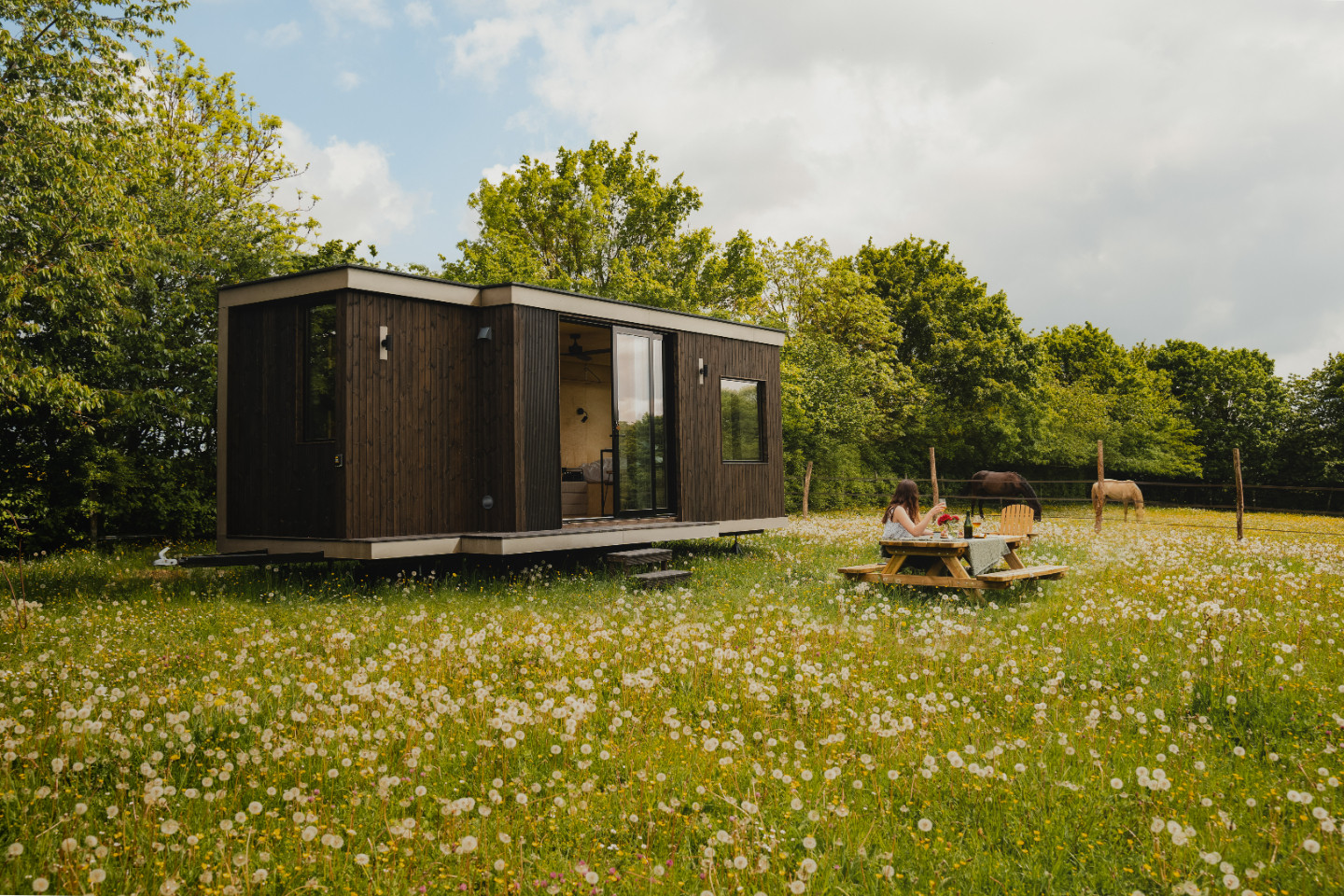 Parcel Tiny House - avec les chevaux dans le Perche