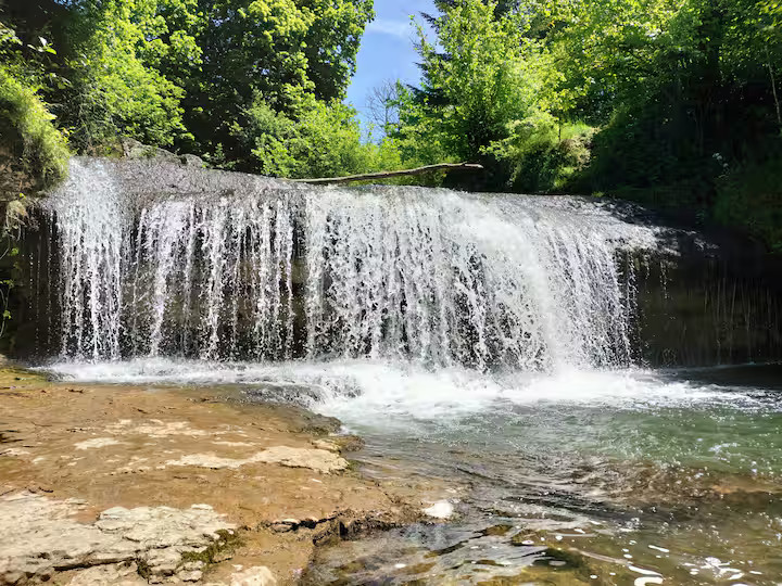 Ain En forêt