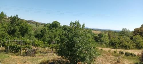GreenGo location vacances écoresponsables