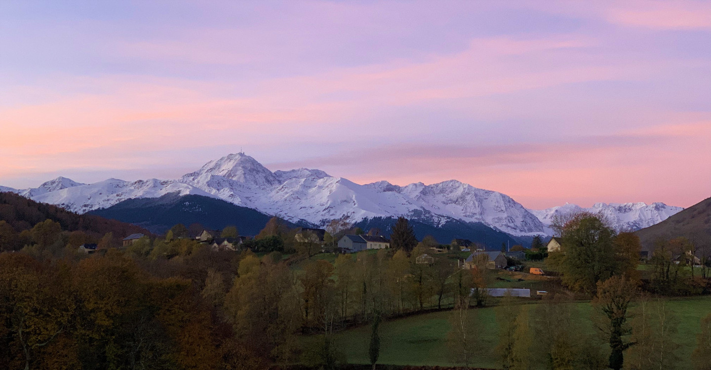 Le Mélilot