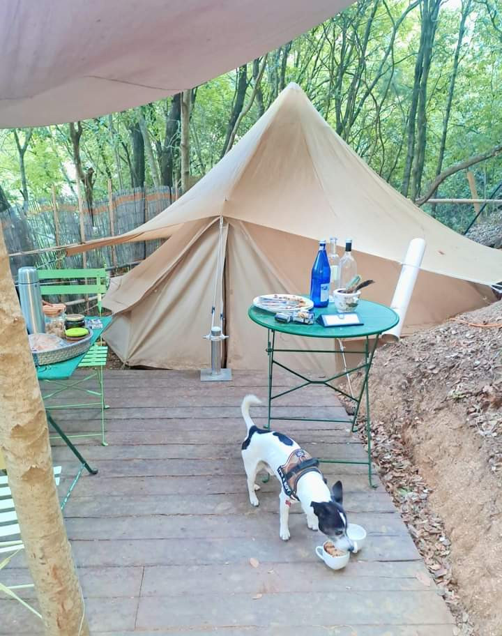 Camping Corse-du-Sud En forêt