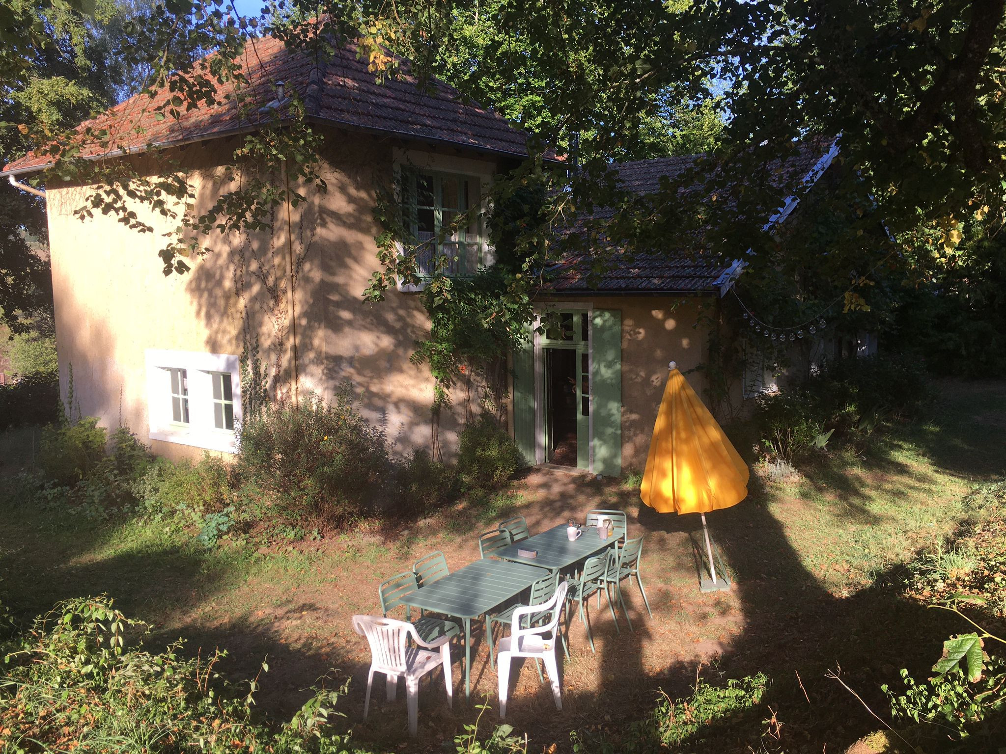  Haute-Vienne En forêt