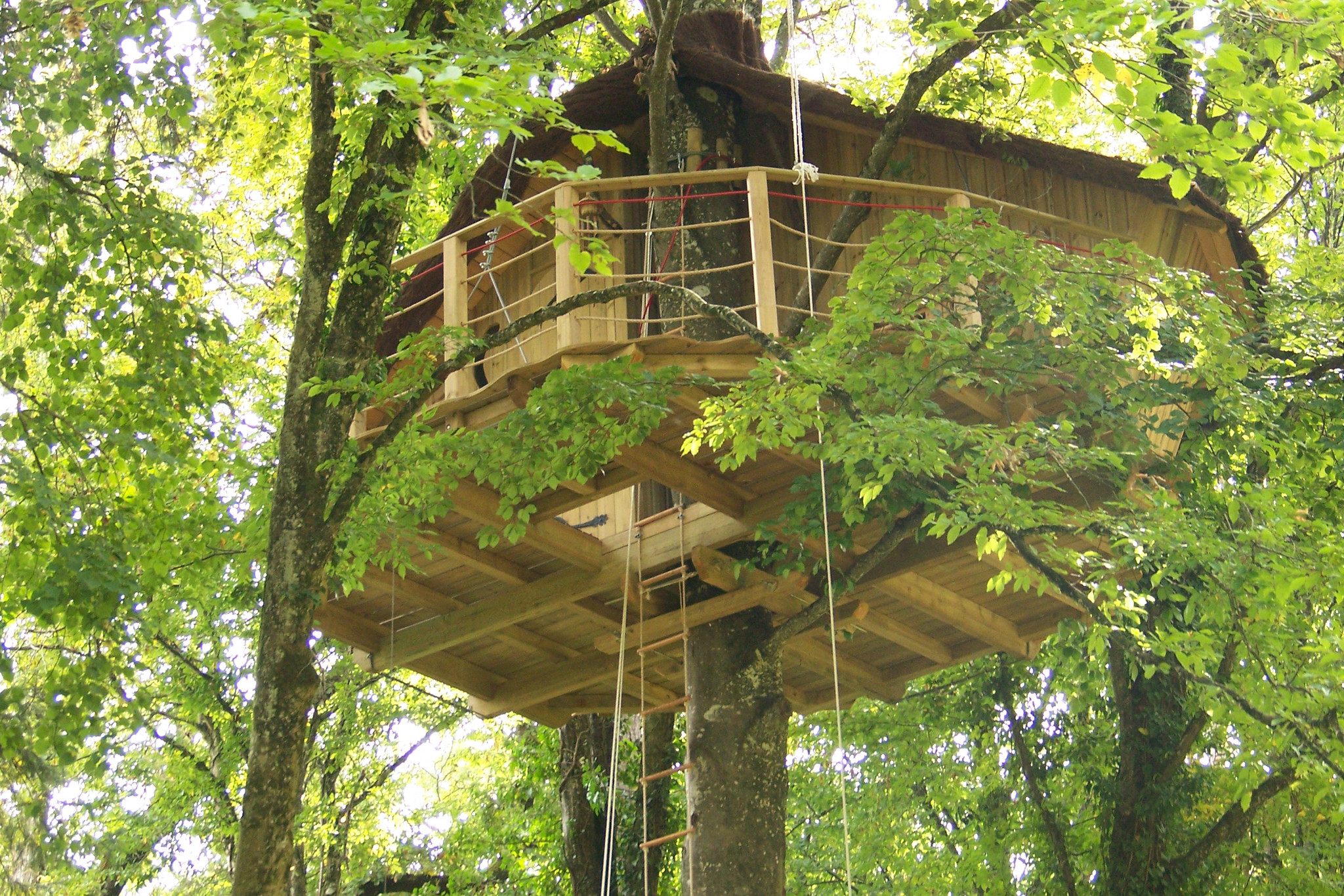 orderedImageAlt_accommodation_default