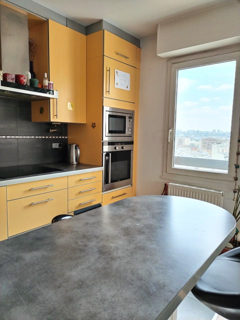 GreenGo Vue sur les toits de Paris