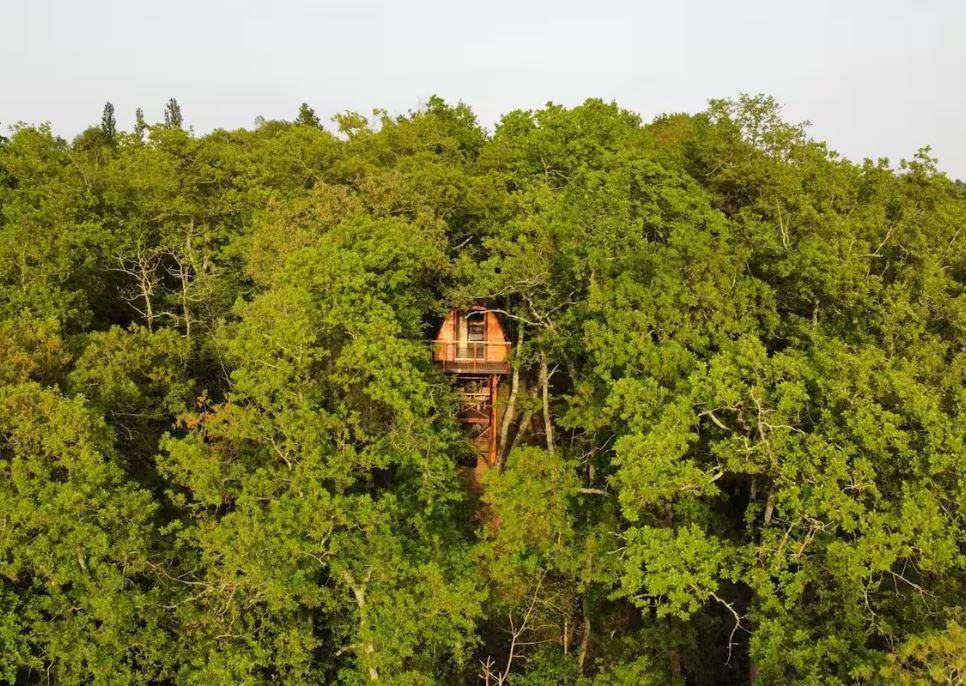 Hôte GreenGo: La cabane entre les cimes