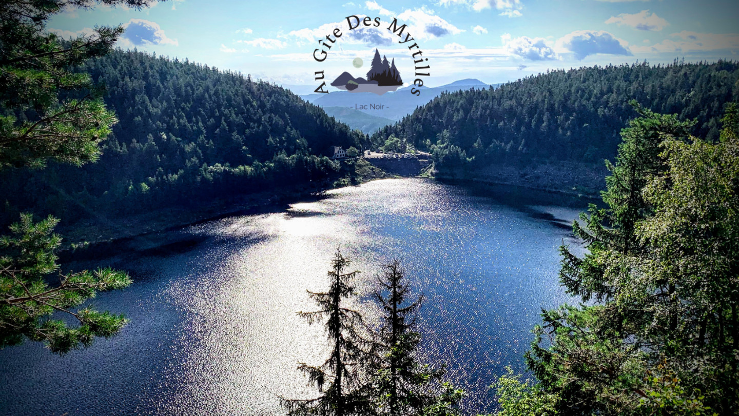 Hôte GreenGo: Au gite des Myrtilles - Lac Noir