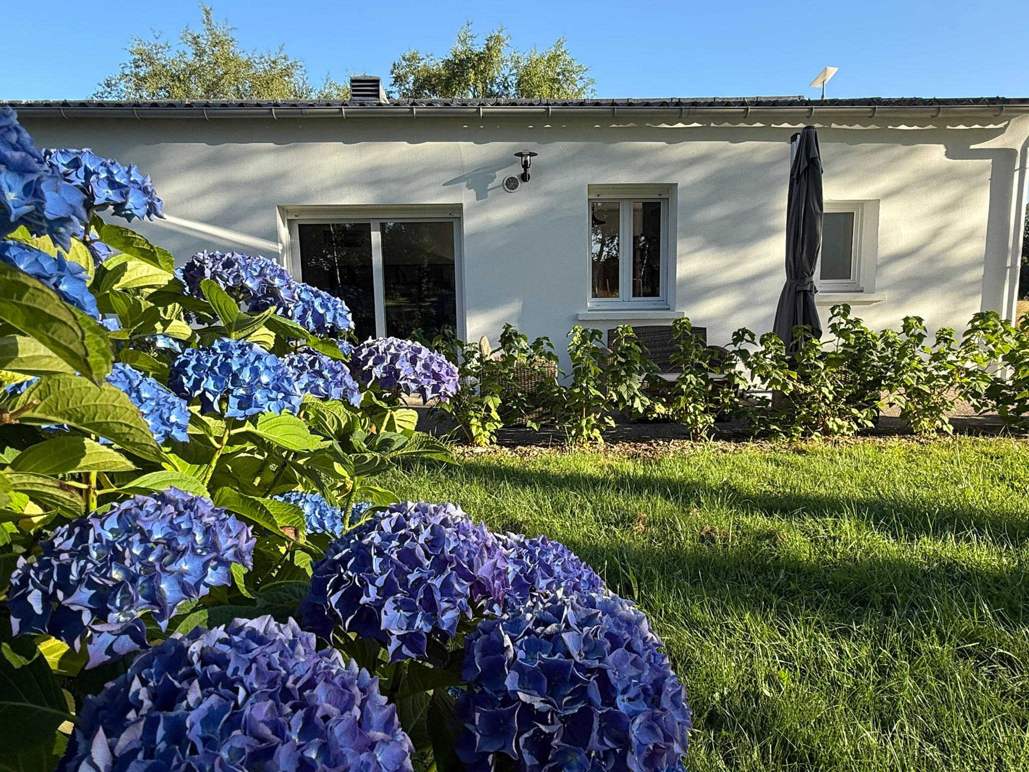 Hôte GreenGo: Maezou, gîte intimiste pour deux au milieu de nos prairies