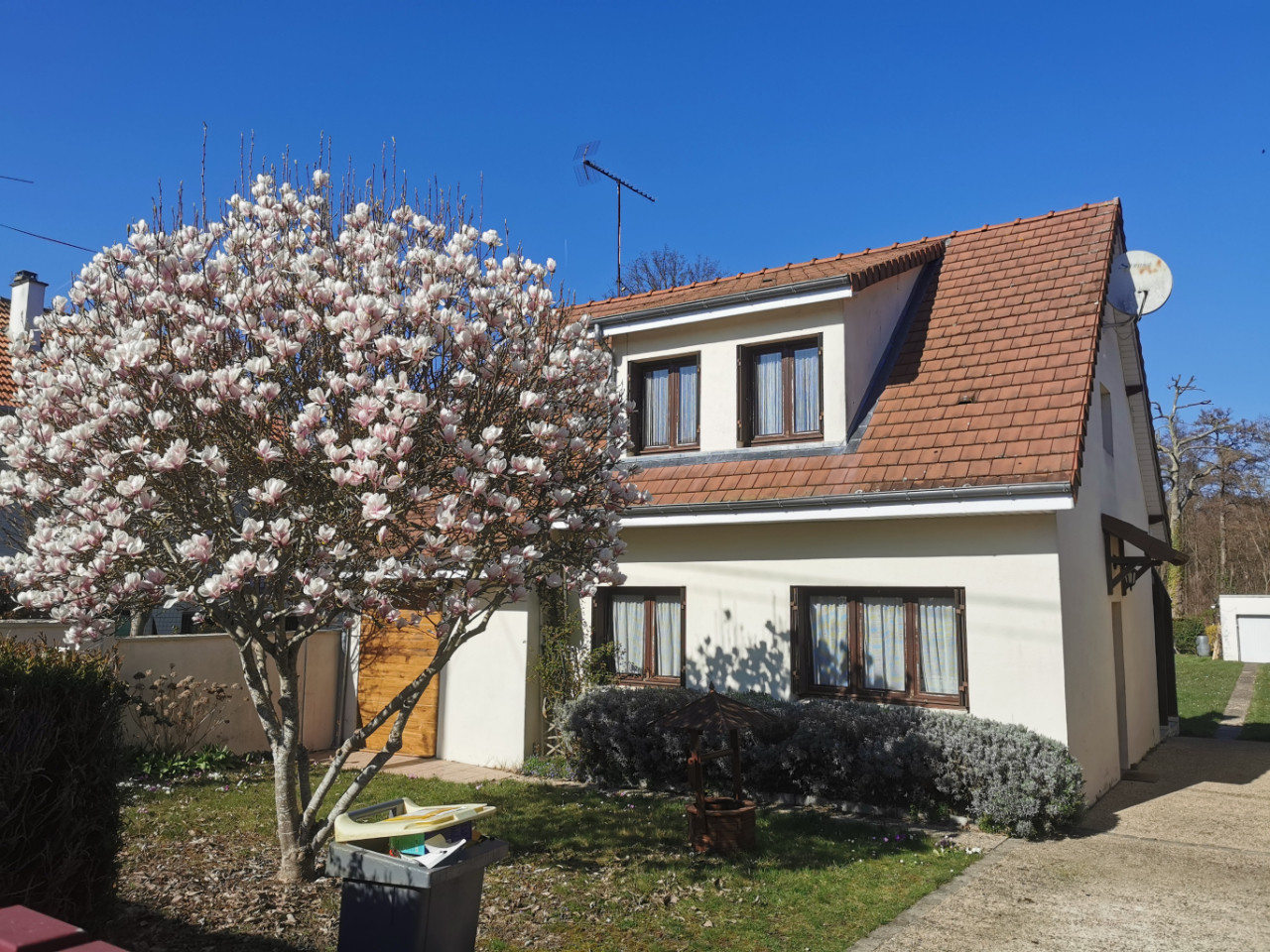 Le Chant des Grrenouilles