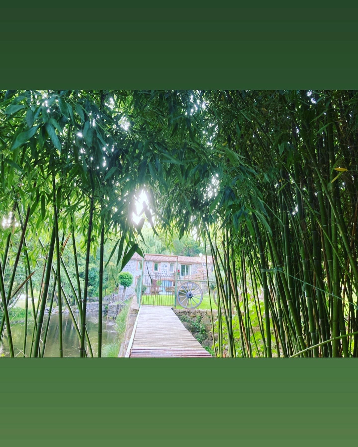 GreenGo location vacances écoresponsables