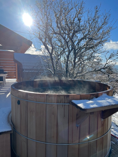 GreenGo Grand gîte nature avec Spa extérieur - vue Montagnes du Jura chez Ô Jurassik