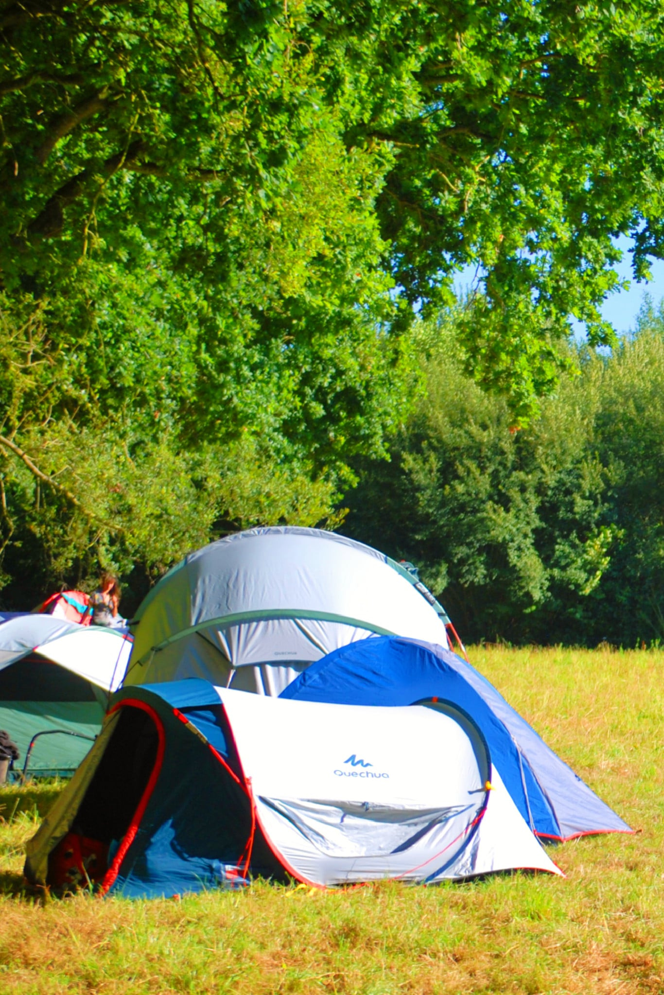 GreenGo location vacances écoresponsables