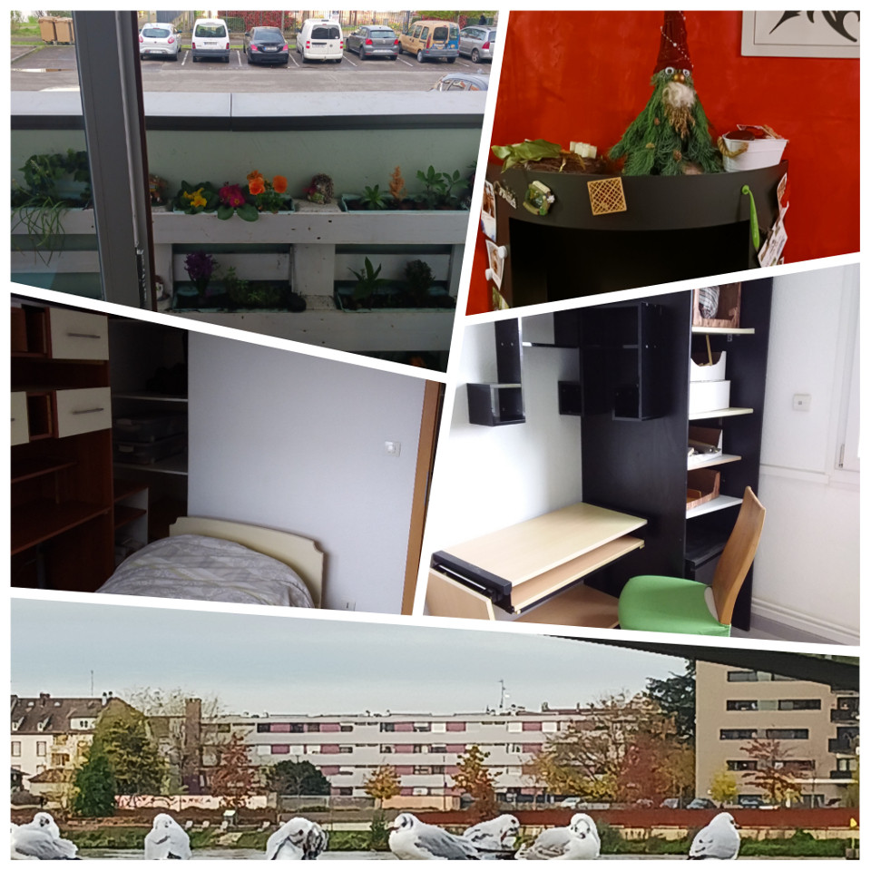 GreenGo Appartement près des 3 frontieres