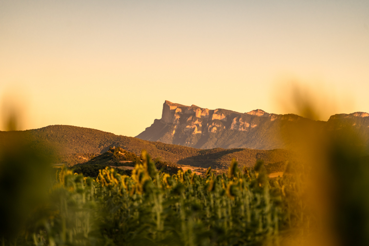Location Drôme À la campagne