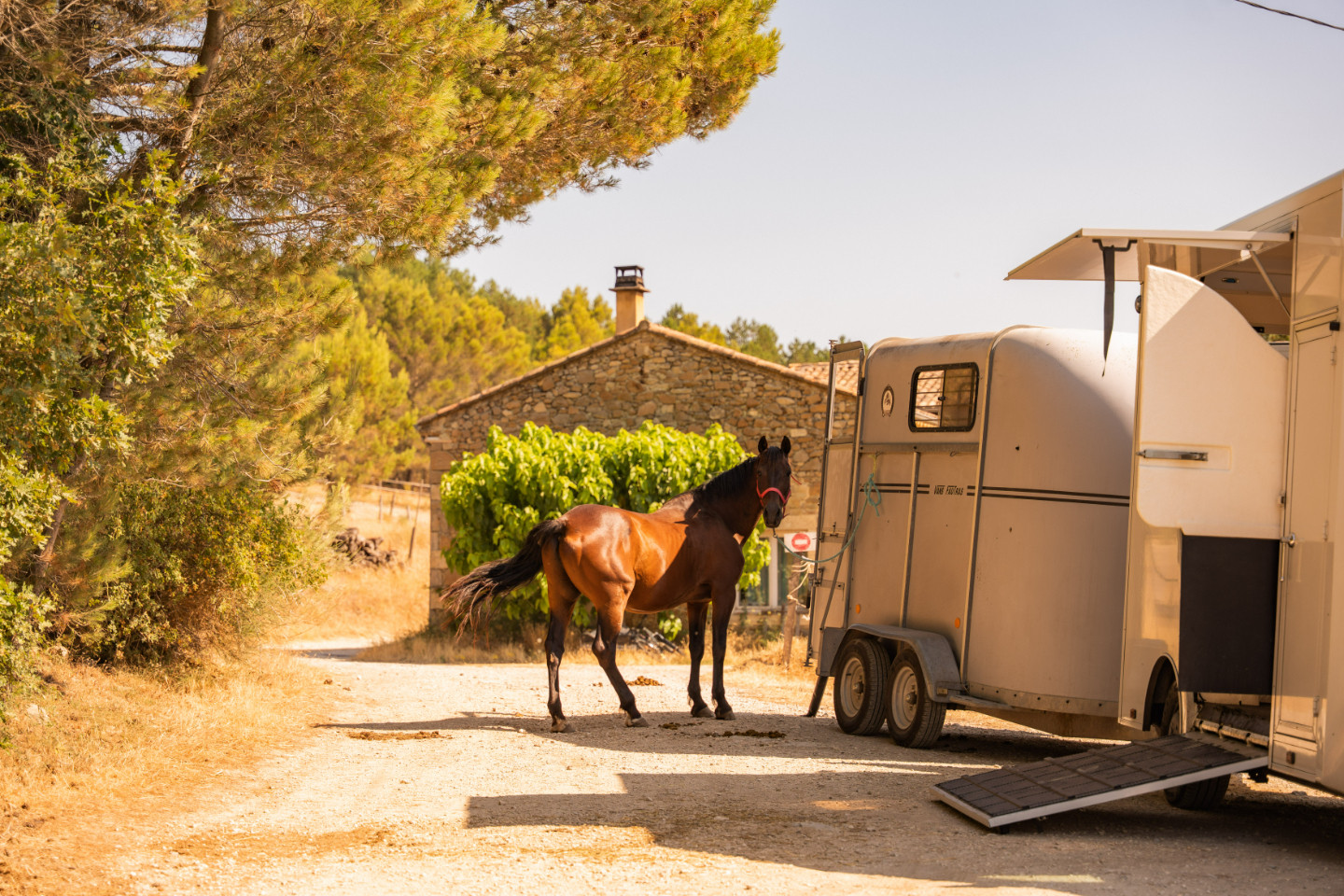 GreenGo location vacances écoresponsables