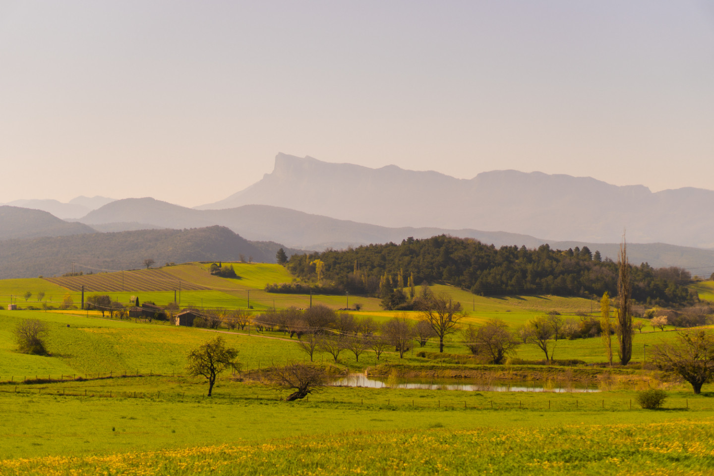 GreenGo location vacances écoresponsables
