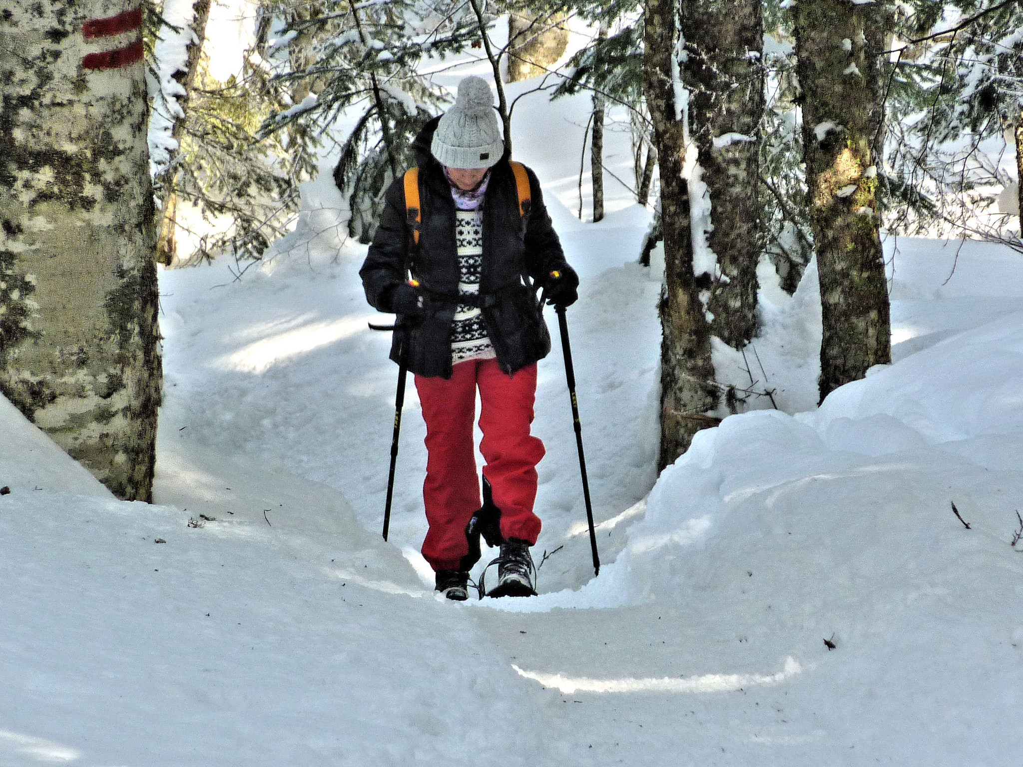 Au bord de la Bourne