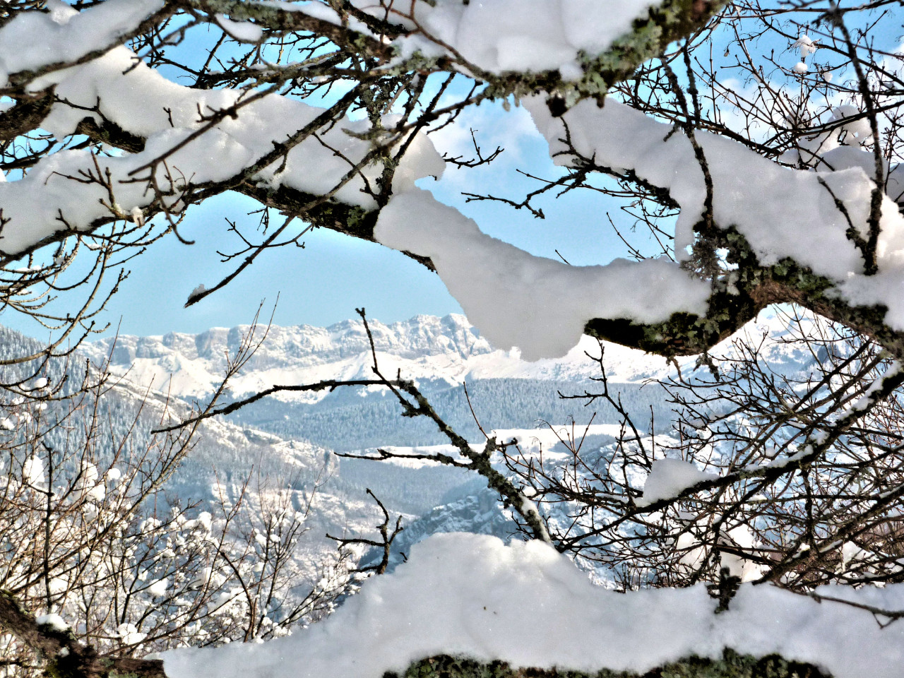 GreenGo Location Auvergne-Rhône-Alpes À la montagne