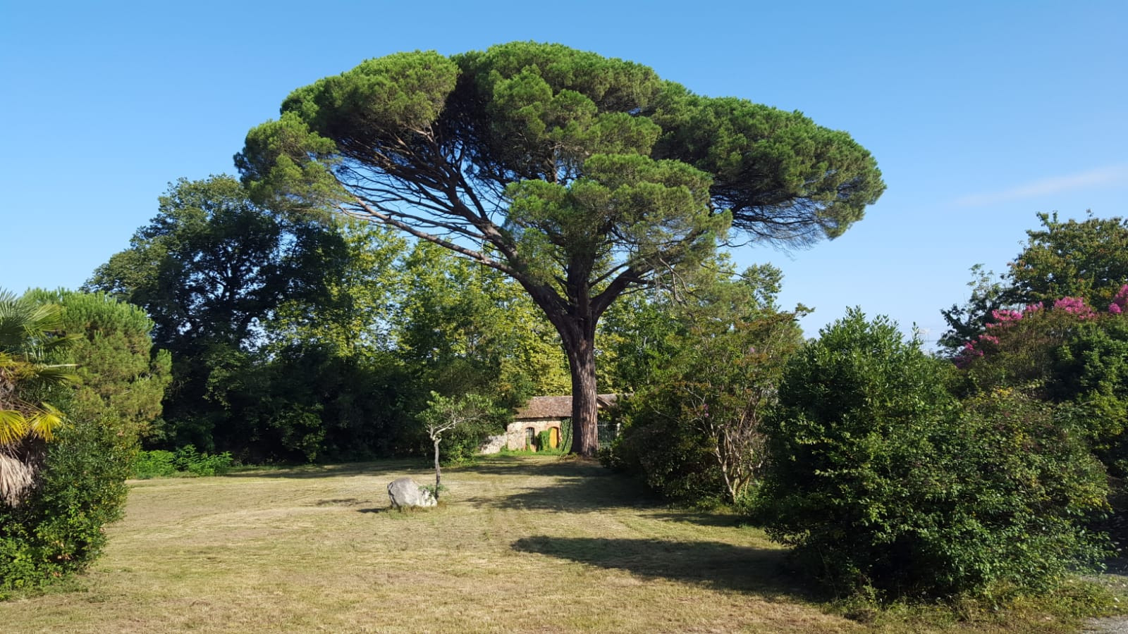 GreenGo location vacances écoresponsables