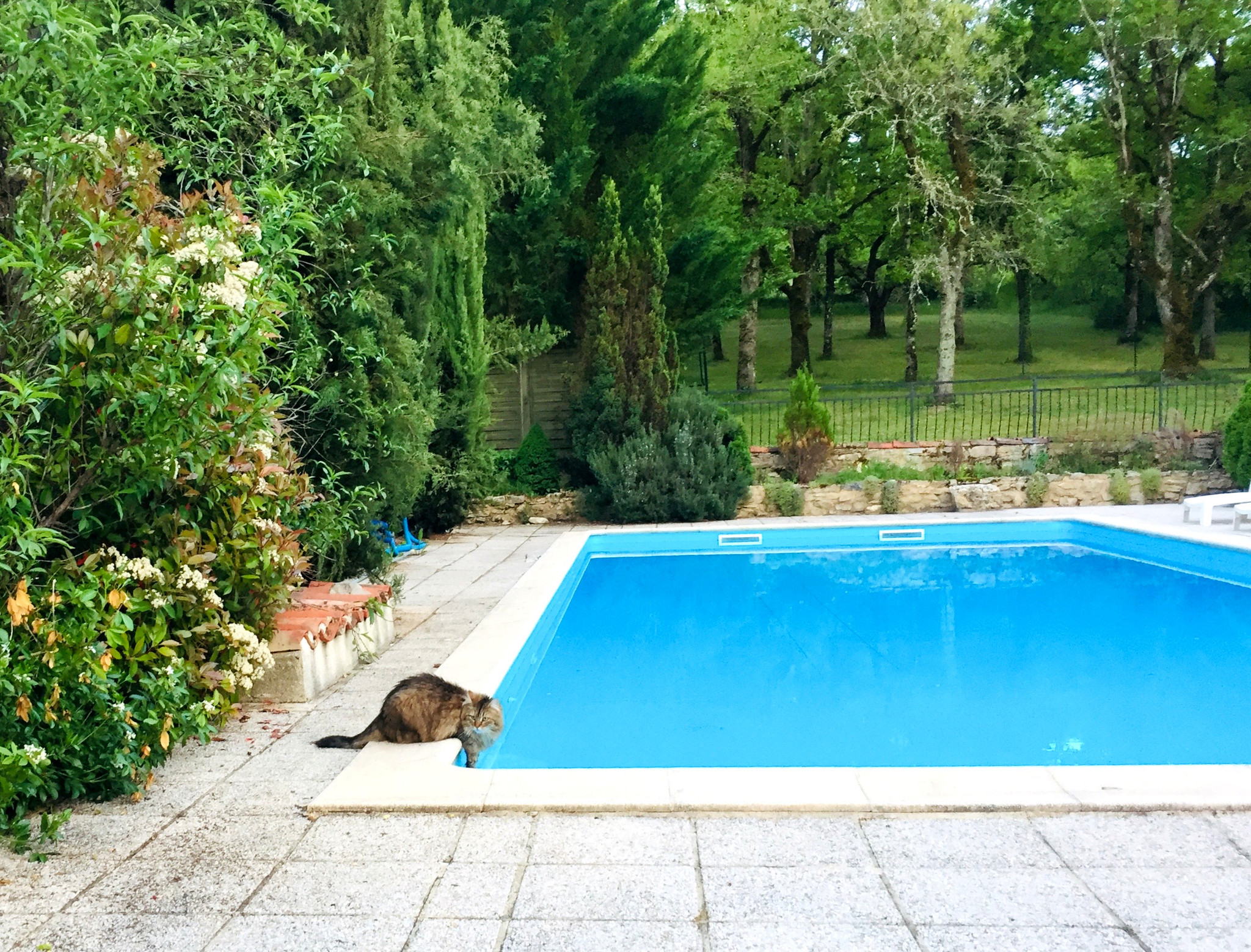 Une Place au Soleil Gîte en campagne Lotoise