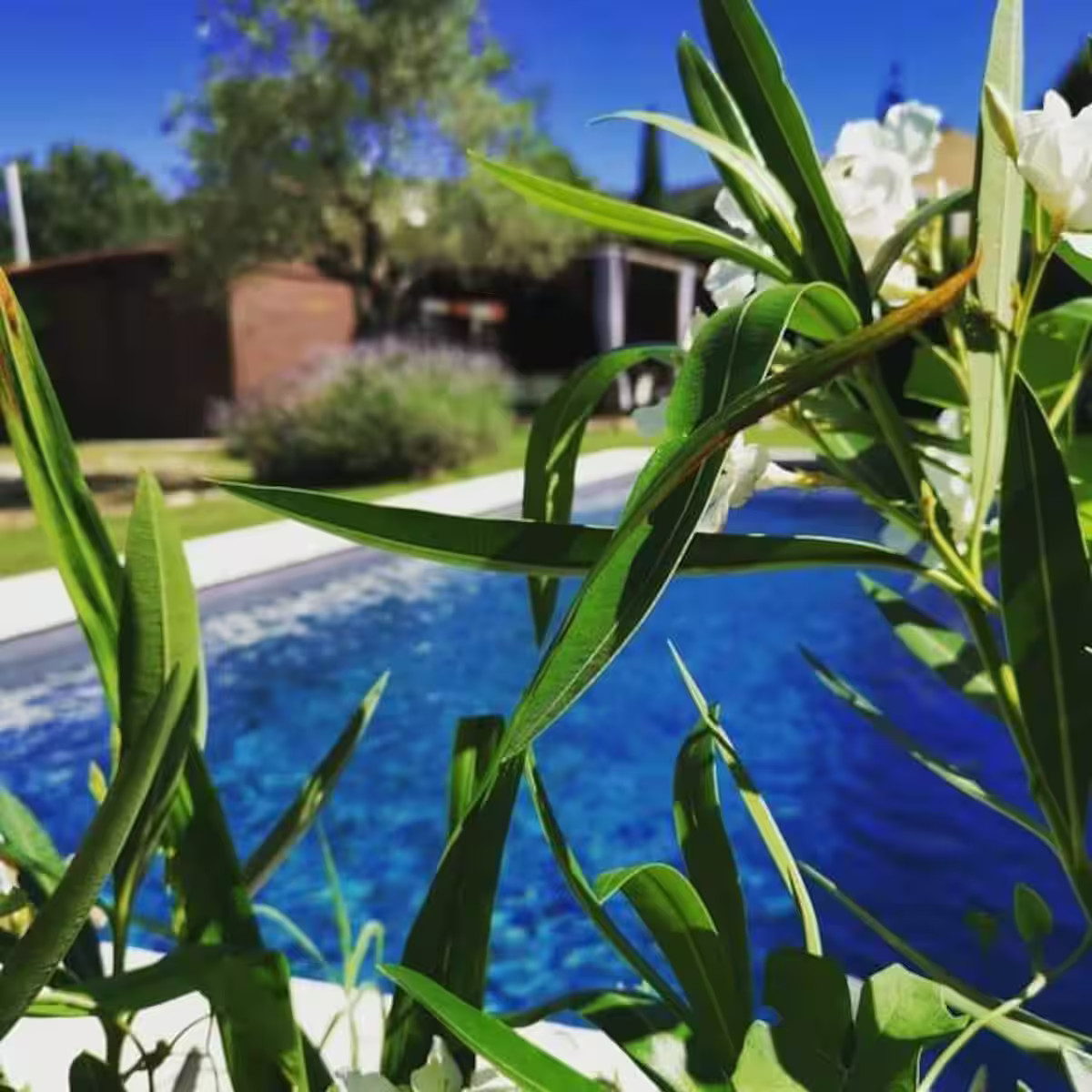 GreenGo L'instant Luberon