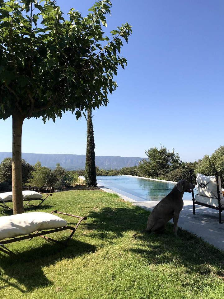 Hôte GreenGo: Les Savournins Gordes - la Borie des Alpilles