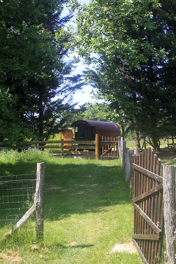 orderedImageAlt_accommodation_default