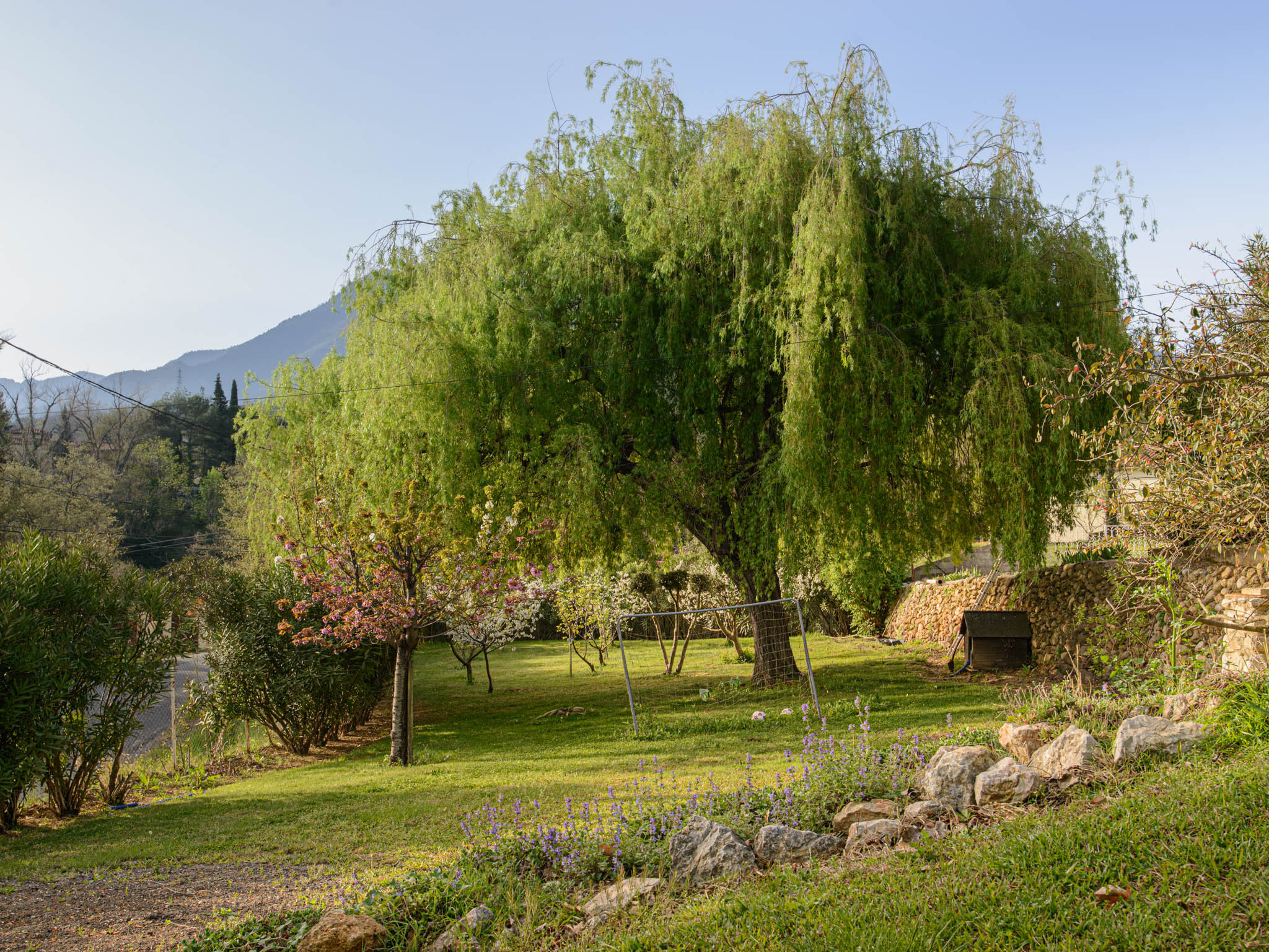 Pyrénées-Orientales À la campagne