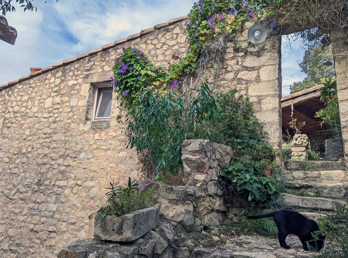 GreenGo location vacances écoresponsables