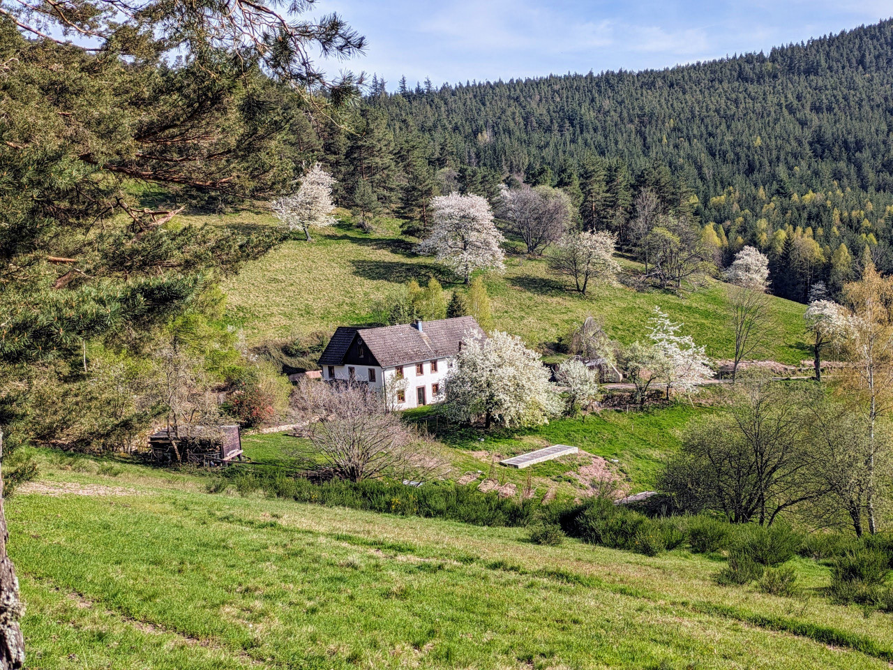 La Ferme du petit Hohnack