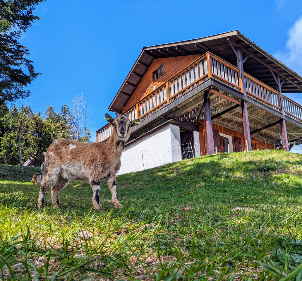 Hôte GreenGo: ⭐️chalet les Etoiles ⭐️