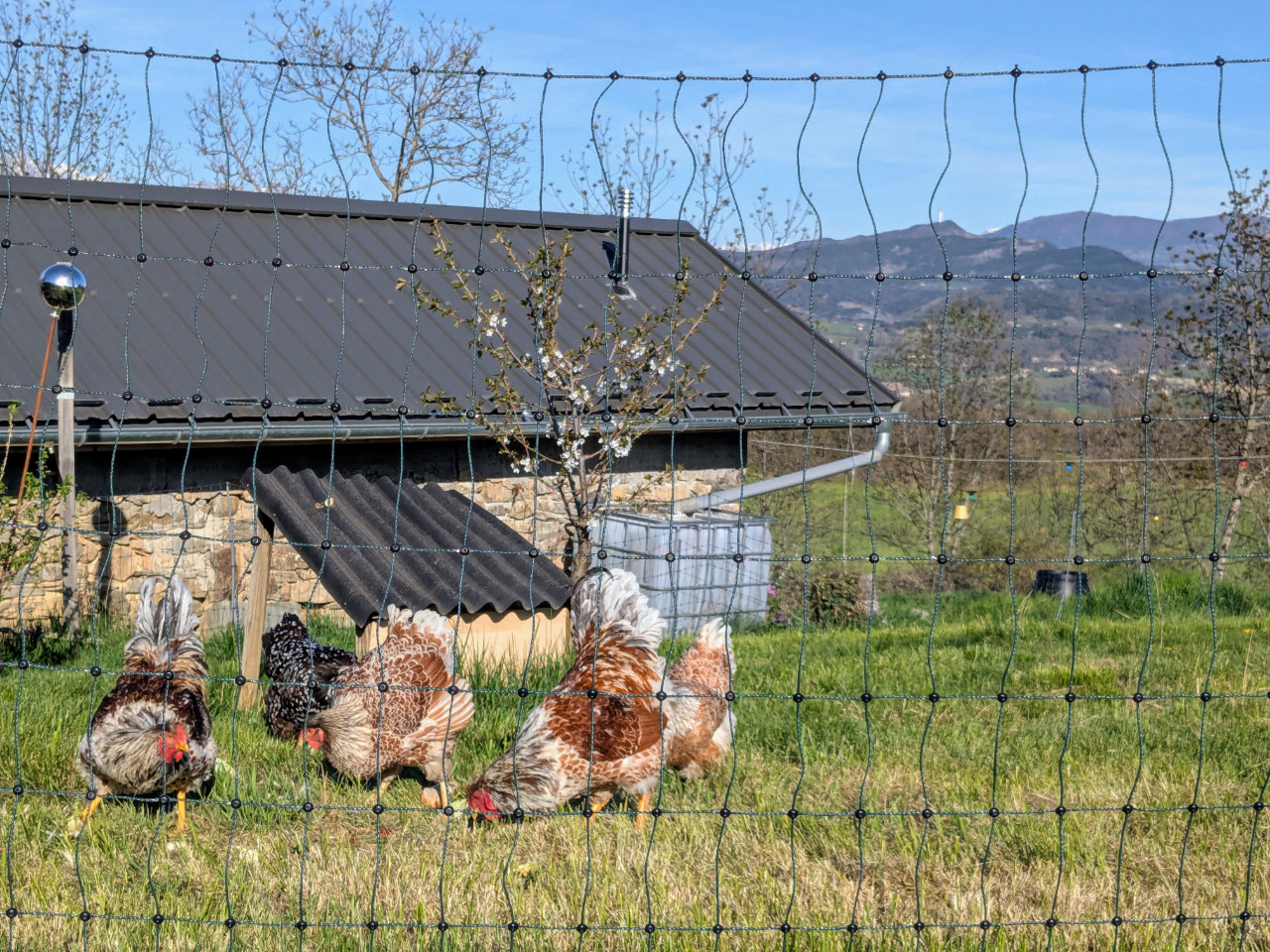 GreenGo location vacances écoresponsables
