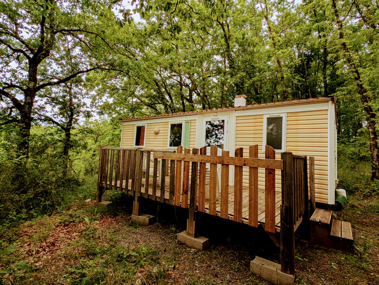 Forest Lodge