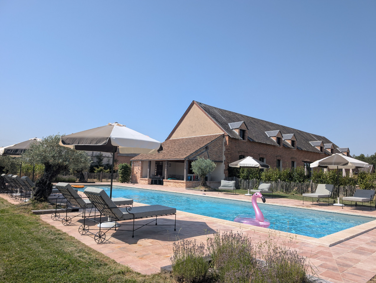 Ferme du Poirier - Padel, Piscine & Spa - Gite de Charme en Sologne