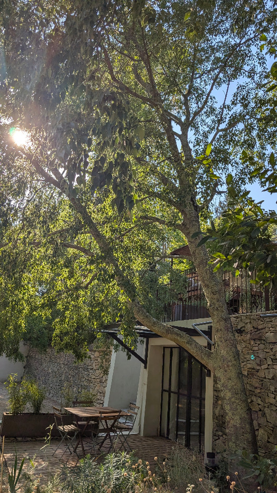 Au vert