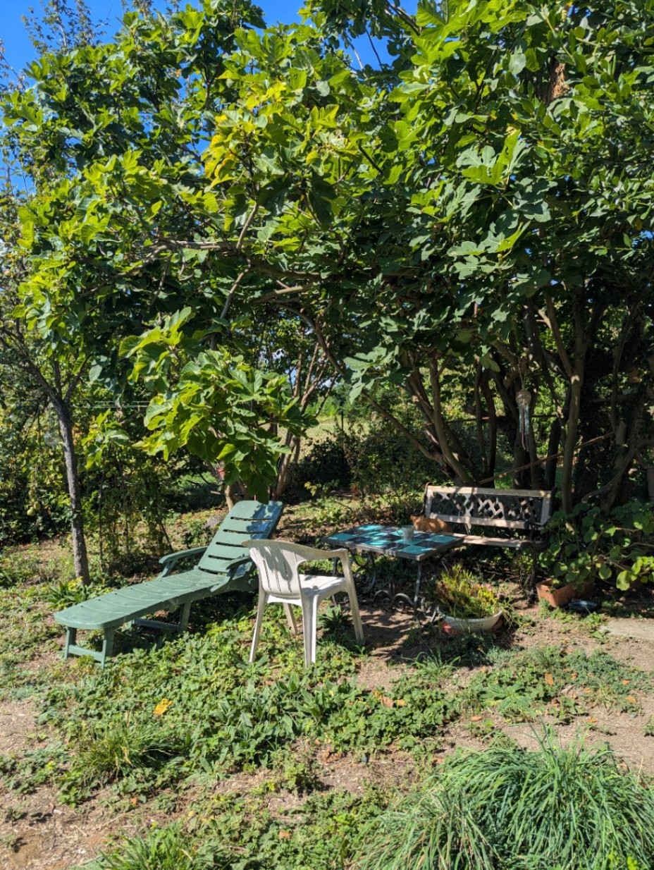 GreenGo Chambre chez l’habitant Grand Est À la campagne