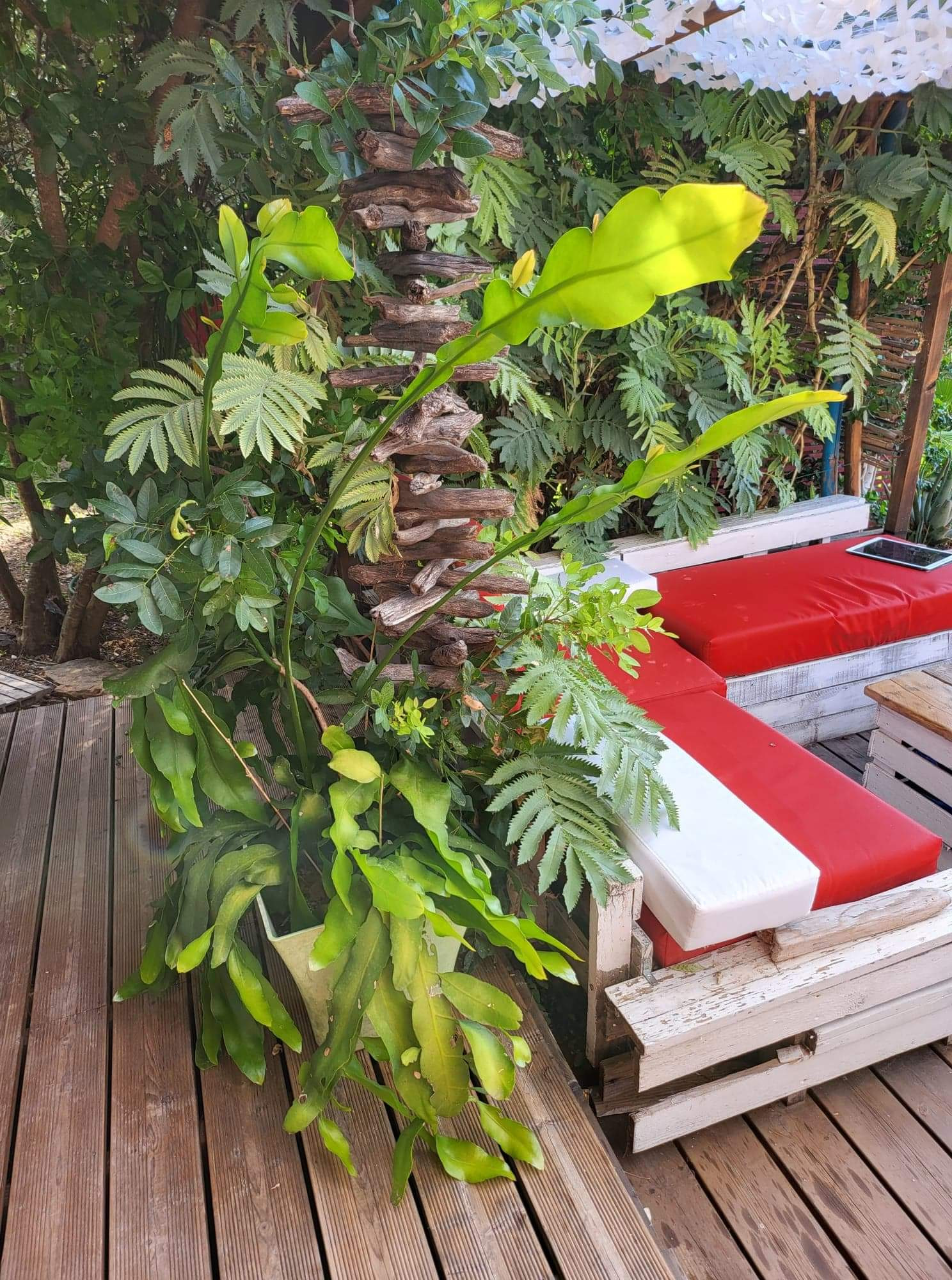 GreenGo location vacances écoresponsables