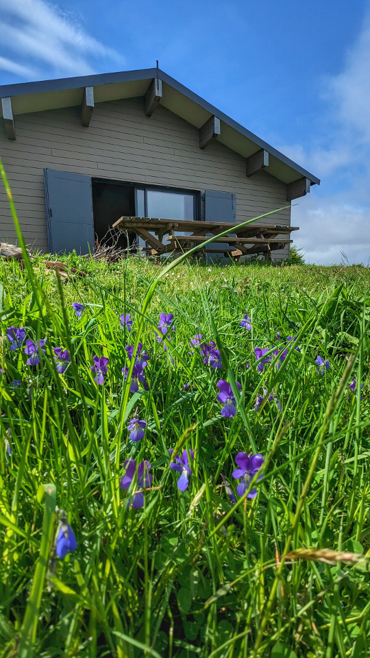 Logement GreenGo: Le refuge de Peyremaux
