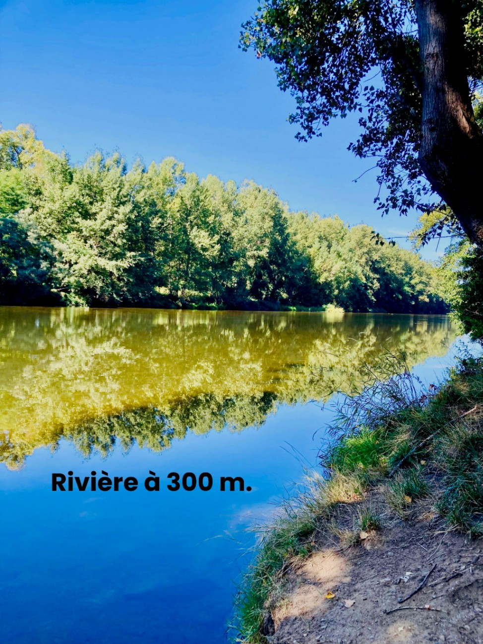 GreenGo location vacances écoresponsables