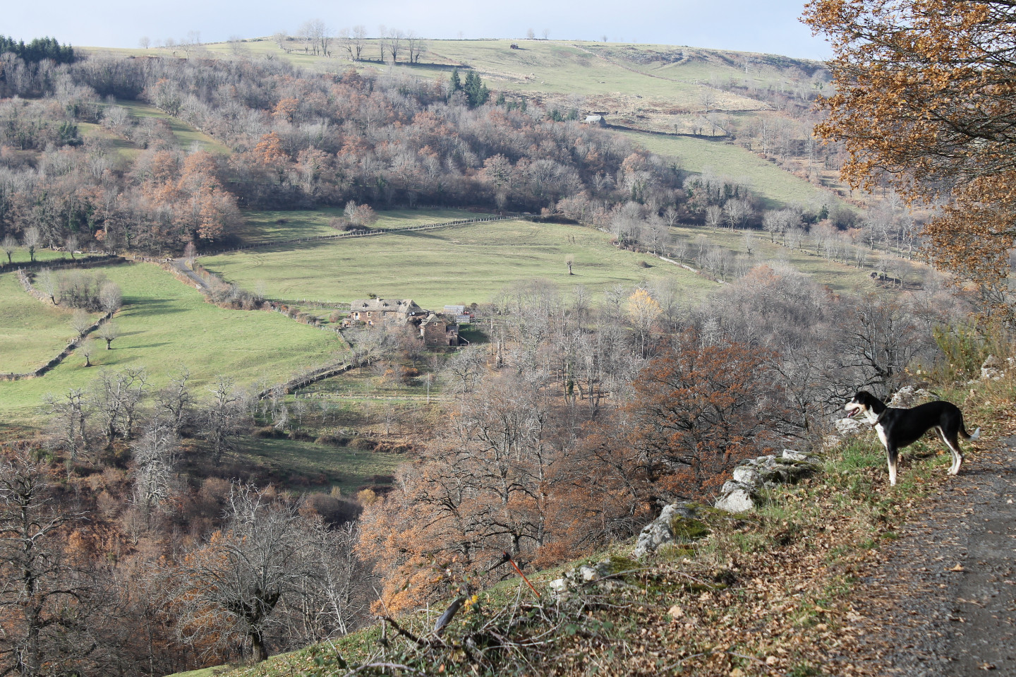 GreenGo Gîte Occitanie Évasion