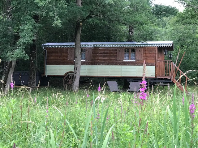 orderedImageAlt_accommodation_default