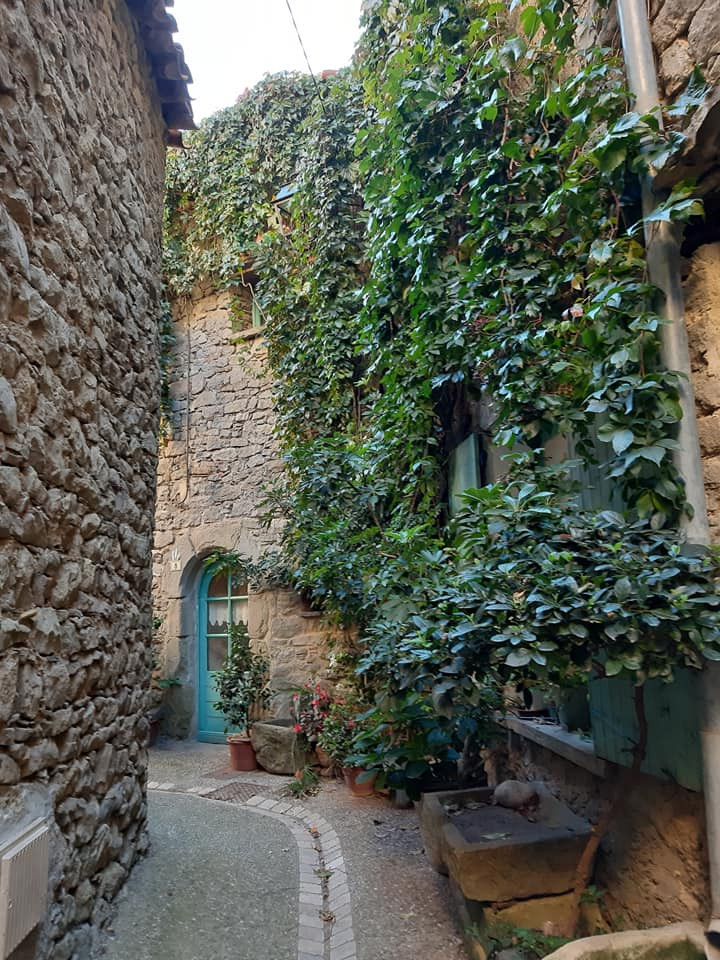GreenGo location vacances écoresponsables