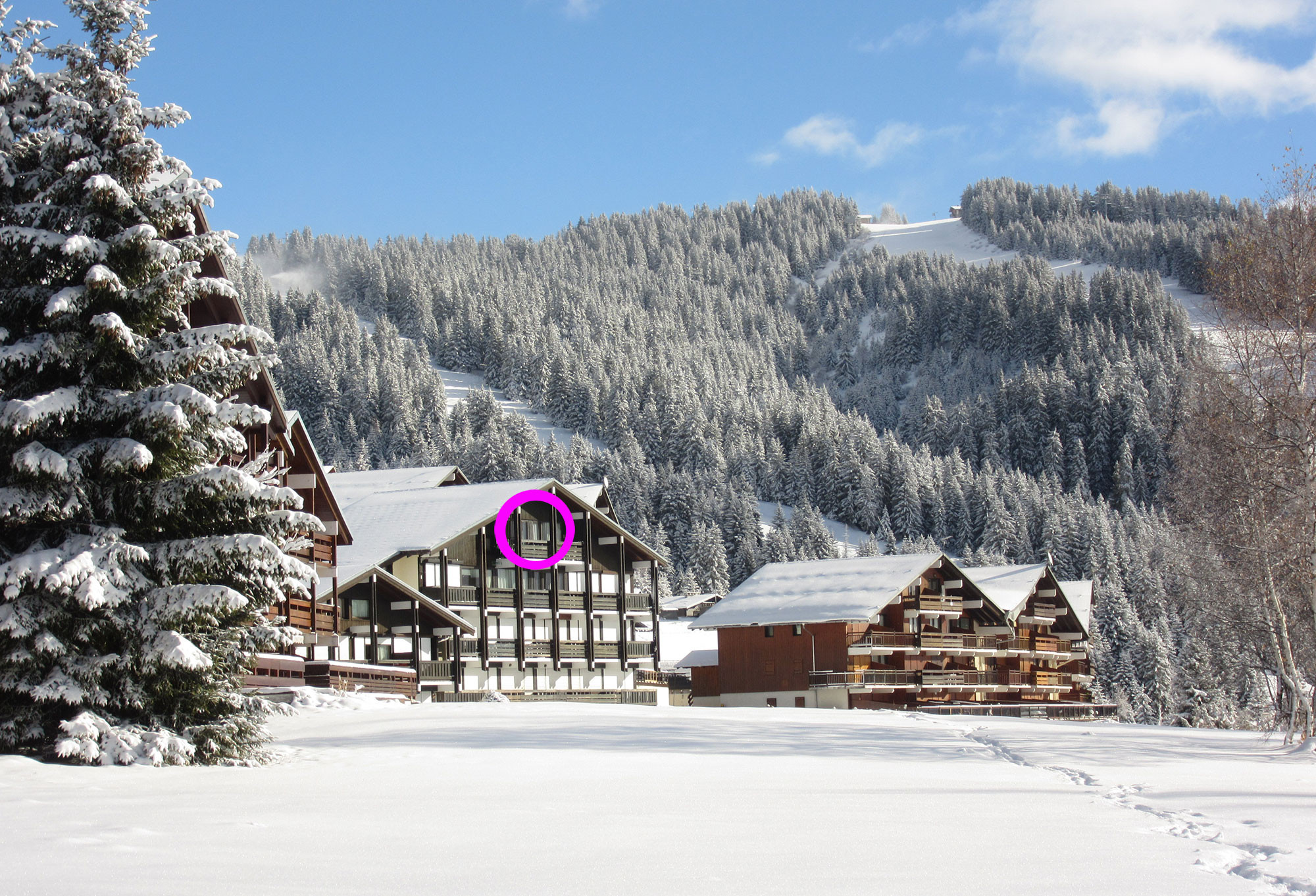 GreenGo Appartement 4/5 pers. les Saisies - Front de neige