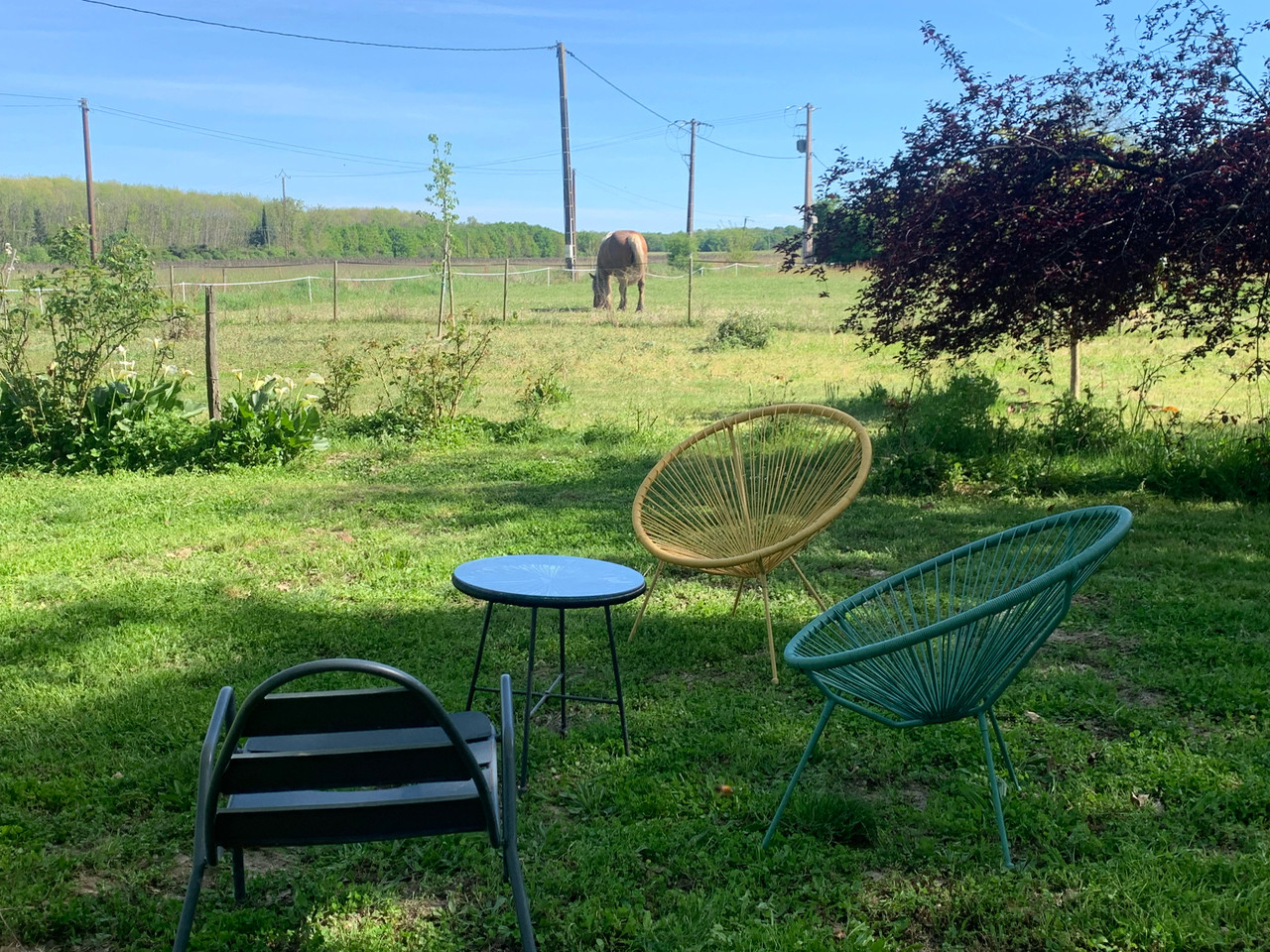 GreenGo Gîte Occitanie À la campagne