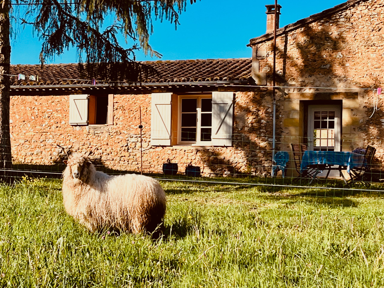 orderedImageAlt_accommodation_default