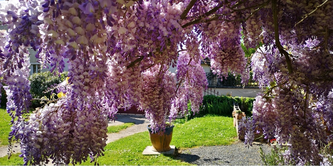 Vienne Rustique