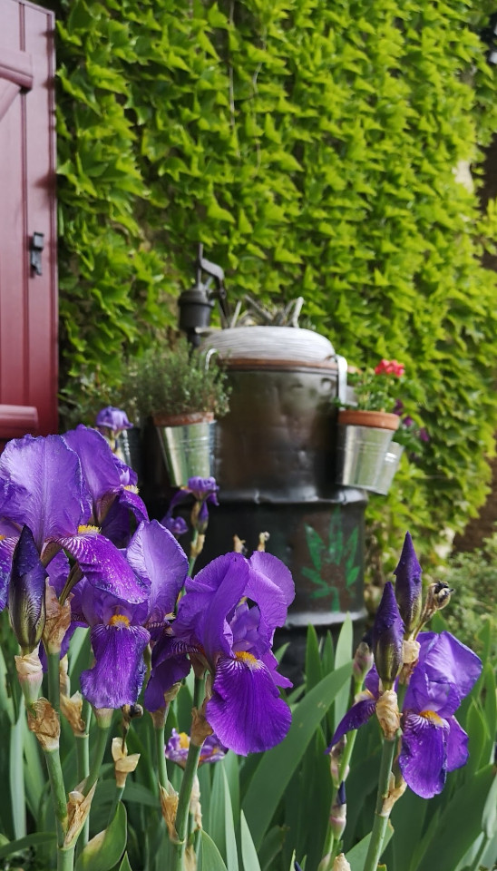 GreenGo Chambre d’hôtes Nouvelle-Aquitaine À la campagne