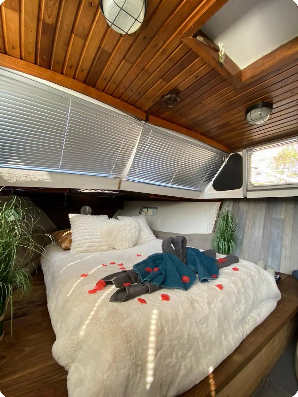 GreenGo Bateau Fellowsip